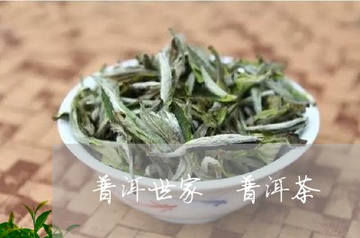 普洱世家 普洱茶/2023031779581